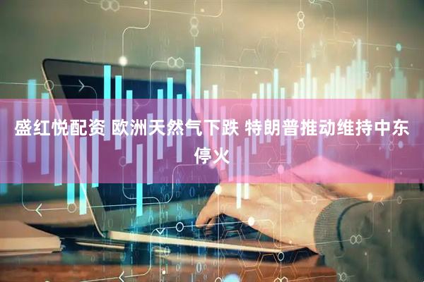 盛红悦配资 欧洲天然气下跌 特朗普推动维持中东停火
