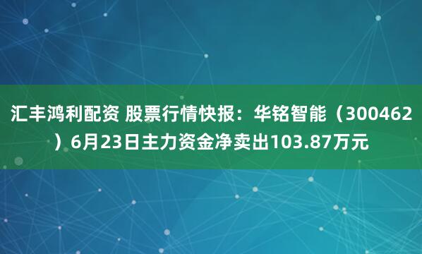 汇丰鸿利配资 股票行情快报：华铭智能（300462）6月23日主力资金净卖出103.87万元