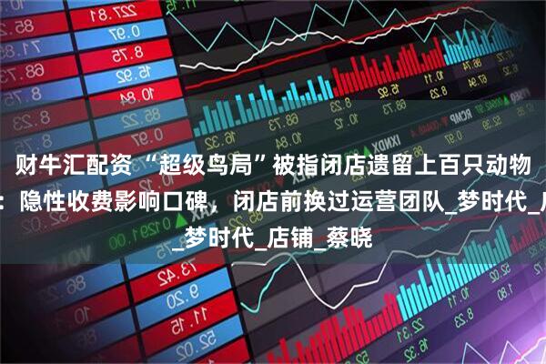 财牛汇配资 “超级鸟局”被指闭店遗留上百只动物，前员工：隐性收费影响口碑，闭店前换过运营团队_梦时代_店铺_蔡晓
