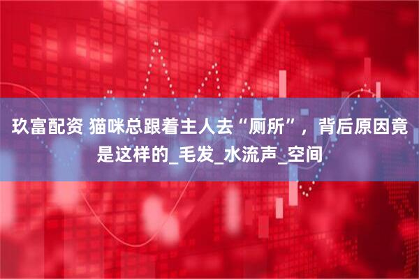 玖富配资 猫咪总跟着主人去“厕所”，背后原因竟是这样的_毛发_水流声_空间