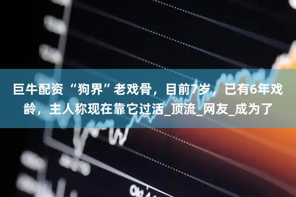 巨牛配资 “狗界”老戏骨，目前7岁，已有6年戏龄，主人称现在靠它过活_顶流_网友_成为了