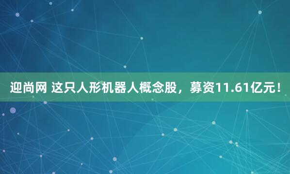 迎尚网 这只人形机器人概念股，募资11.61亿元！