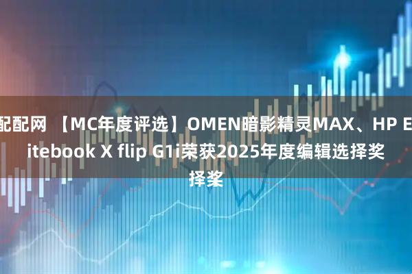 配配网 【MC年度评选】OMEN暗影精灵MAX、HP Elitebook X flip G1i荣获2025年度编辑选择奖