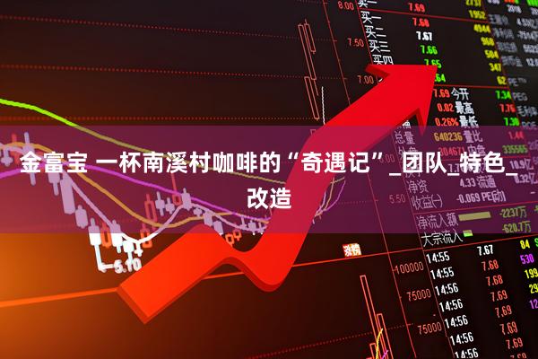 金富宝 一杯南溪村咖啡的“奇遇记”_团队_特色_改造